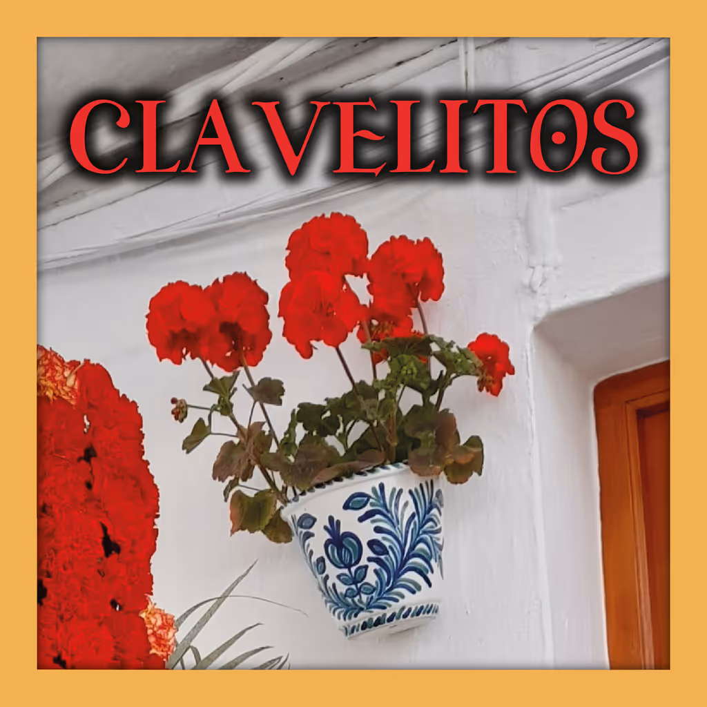 Imagen destacada de Clavelitos